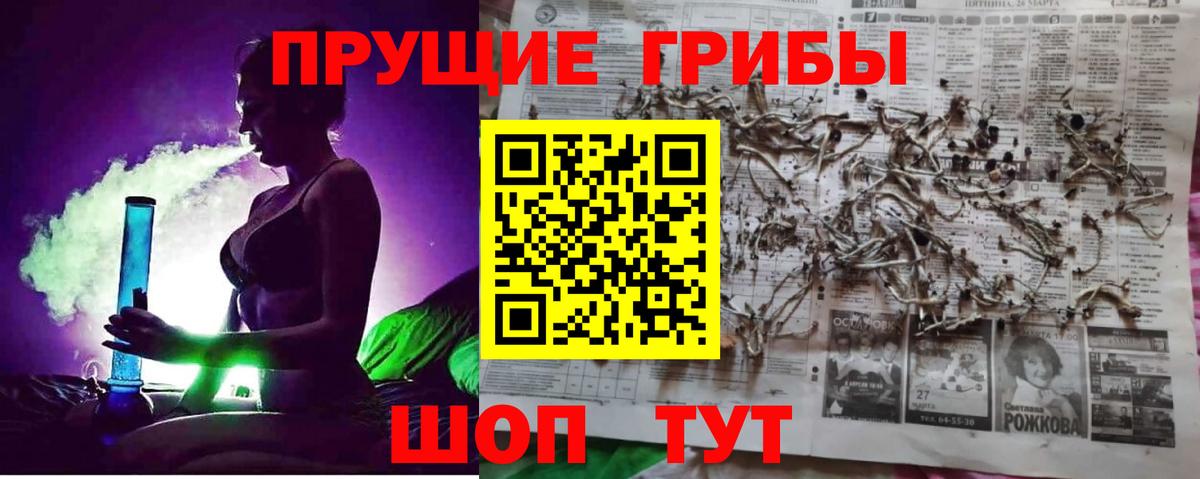 Галлюциногенные грибы мухоморы  Галлюциногенные грибы Cubensis  Урус-Мартан  Вход с VPN 